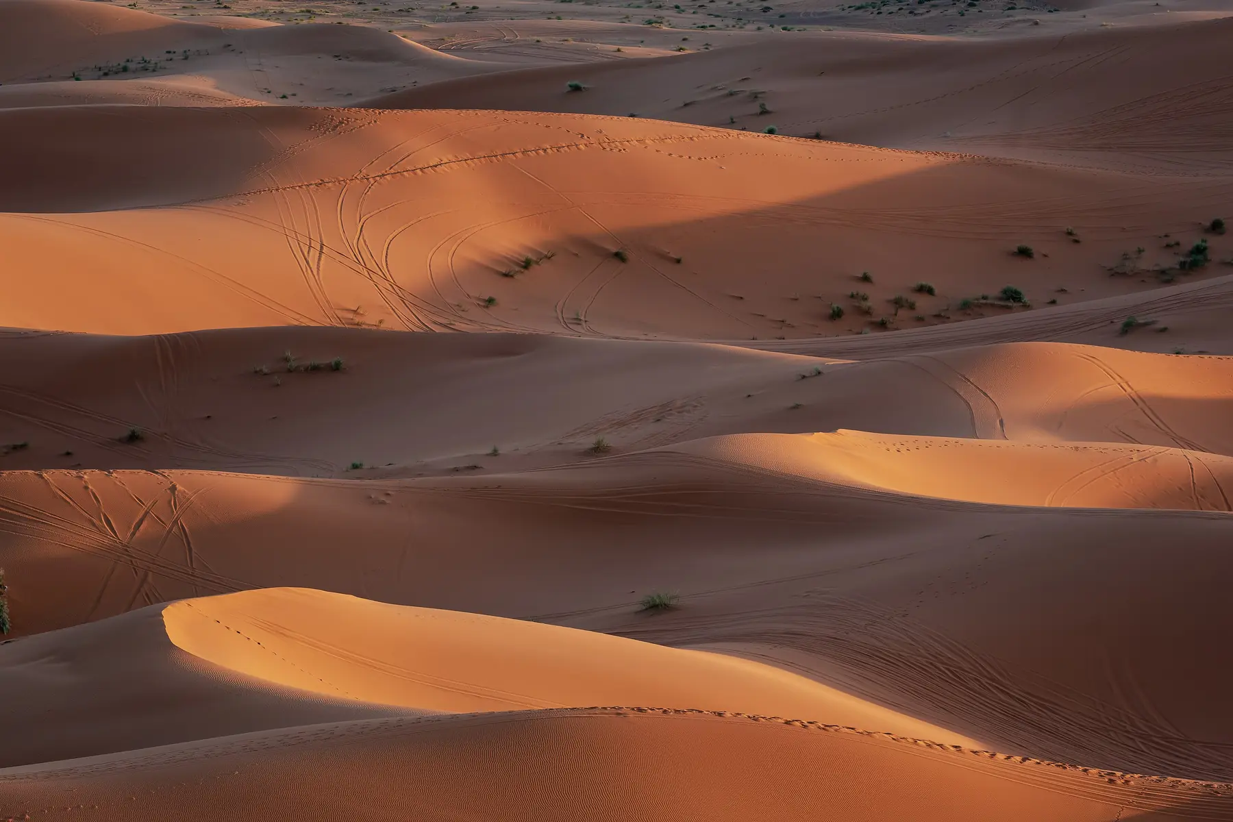 Orange sand dunes of Erg Chebbi in low evening light