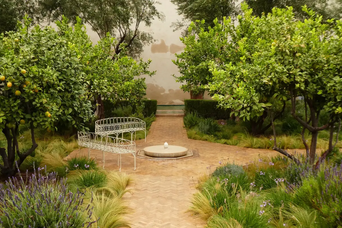 Flower beds with orange trees and a white bench at Le Jardin Secret