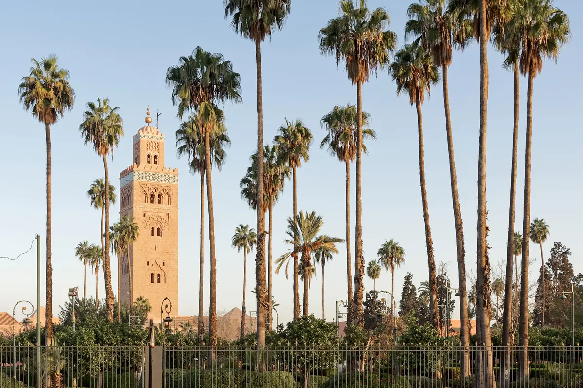 Minaret of the Koutoubia behind a row of tall palm trees