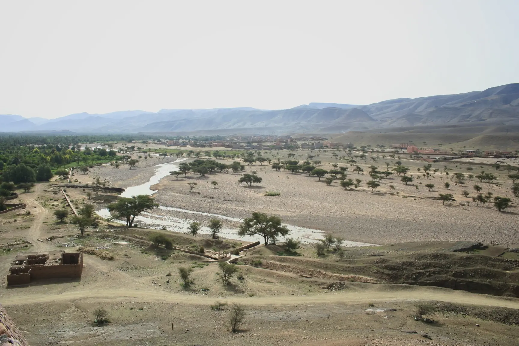 Draa valley near Zagora: riverbed, trees and palm grove, with mountains in the background